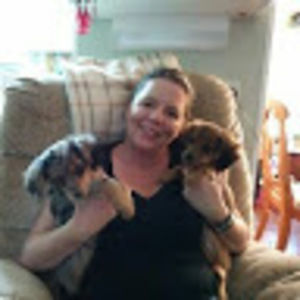 Meet your Posher, Ellen